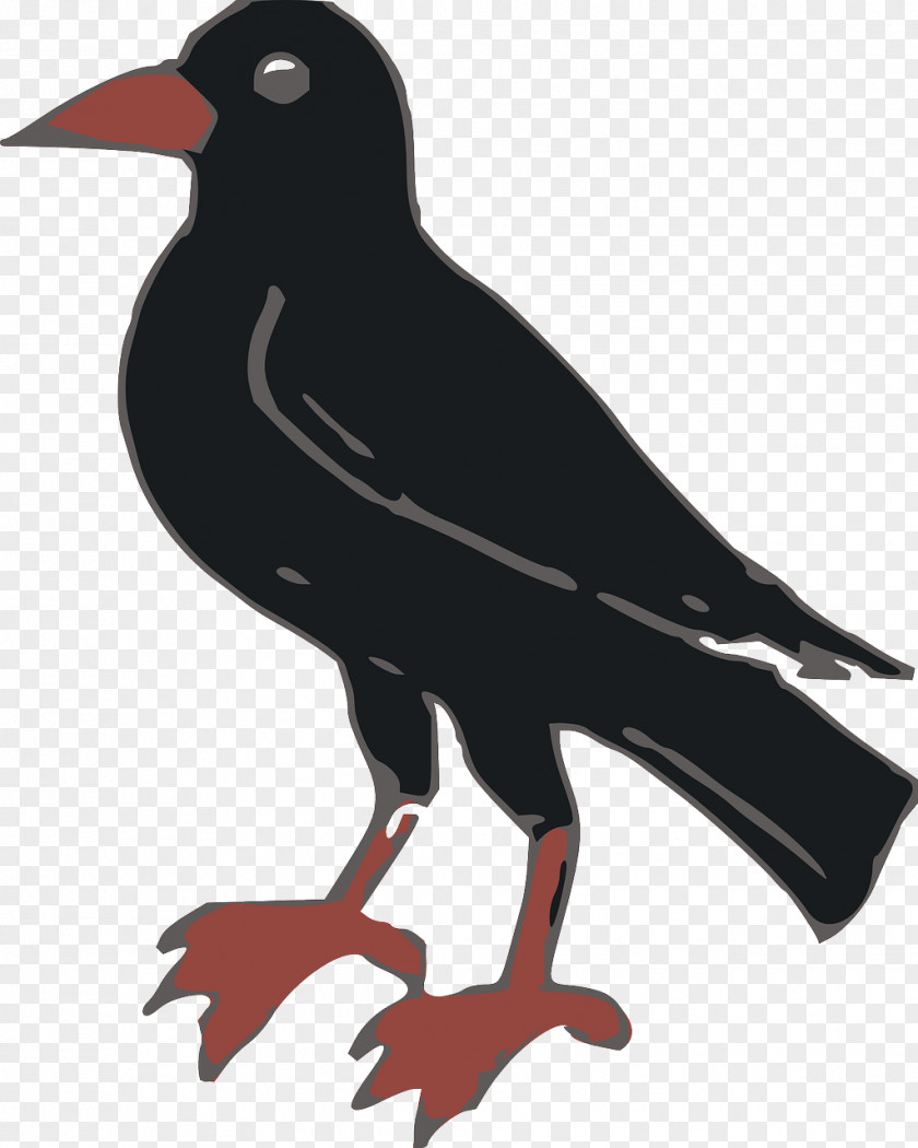 Black Crow Common Raven Clip Art PNG