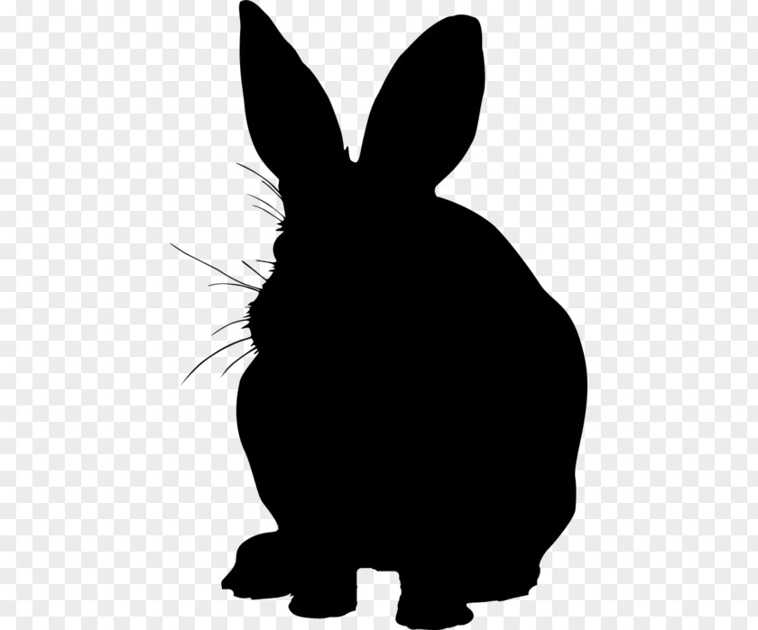 Domestic Rabbit Hare Dog Whiskers Mammal PNG