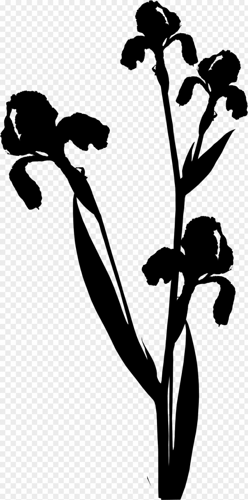 M Flower Leaf Plant Stem Clip Art Black & White PNG