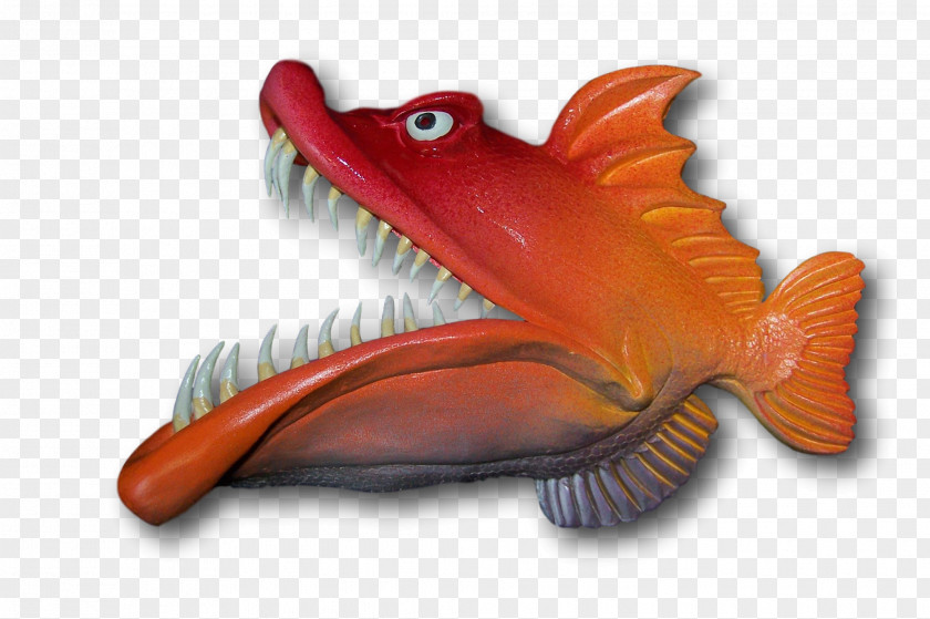 Marine Biology Fish PNG