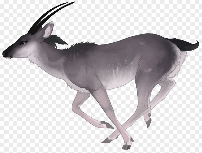 Vector Watercolor Deer Antelope Painting PNG