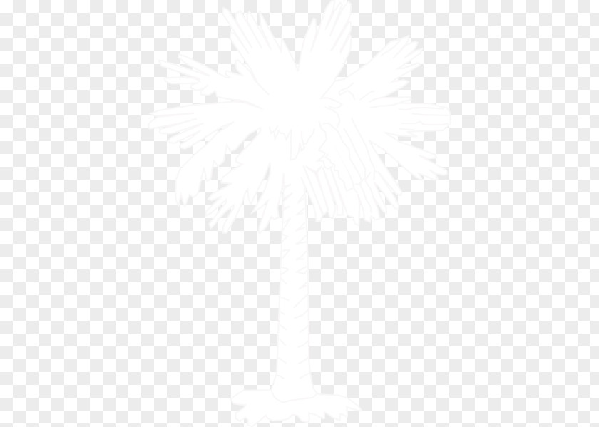 Sabal Palm South Carolina White Tree State Flag Line PNG