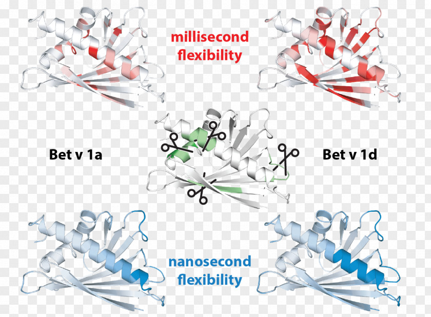 Abstract Figures Allergy Immunotherapy Immune System Biochemistry Design PNG