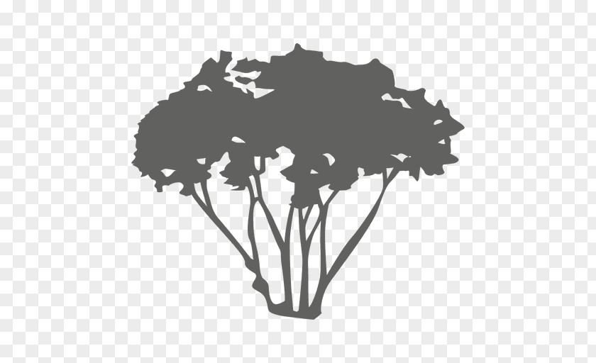 Arboles Silhouette Tree PNG