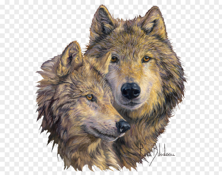 Bond Gray Wolf Painting IPhone Drawing Embroidery PNG