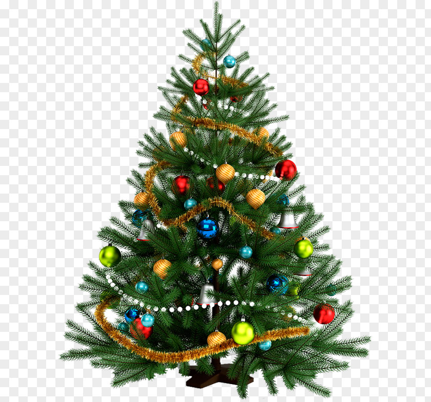 Christmas Ded Moroz New Year Tree Holiday Snegurochka PNG