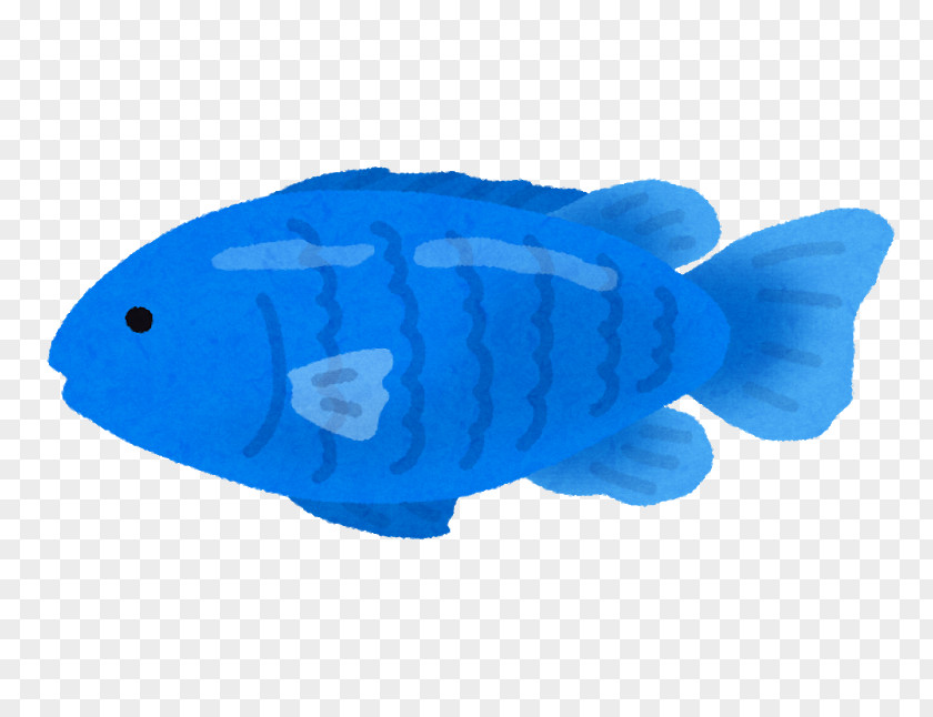 Fish Threespot Dascyllus Whitetail Blue Devil Chromis Notata PNG