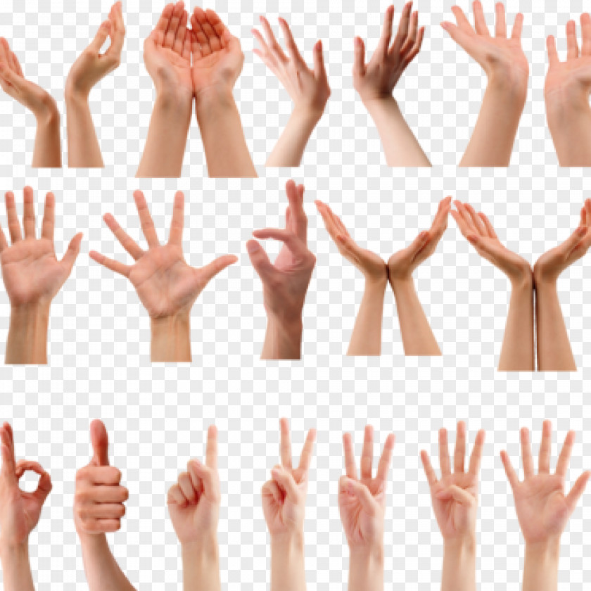 Hand Gesture Fig Sign Nonverbal Communication Language PNG