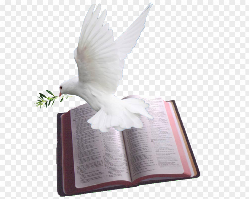 Holy Bible Chapters And Verses Of The Psalms Doves As Symbols God PNG