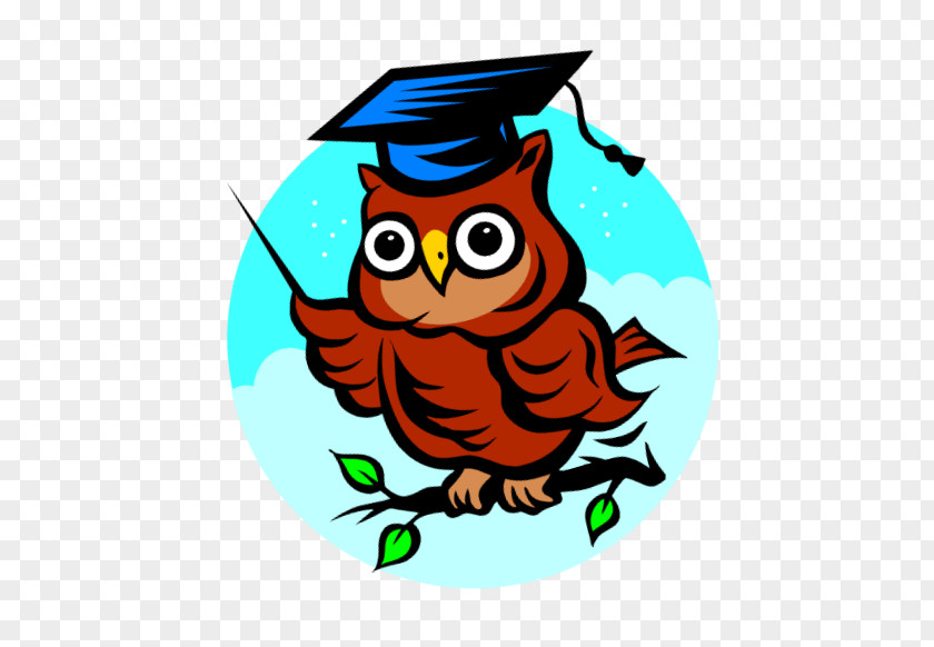 Owl Degree Prince George's Community College Cartoon Clip Art PNG