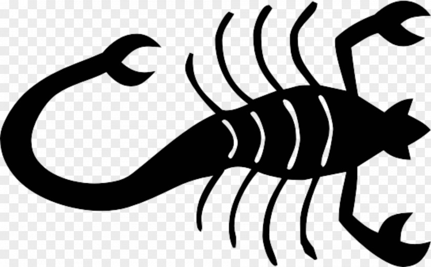 Scorpion Clip Art PNG