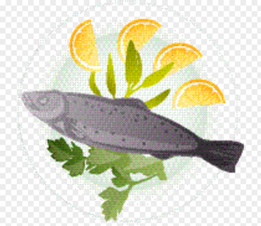 Seafood Cuisine Fish Cartoon PNG