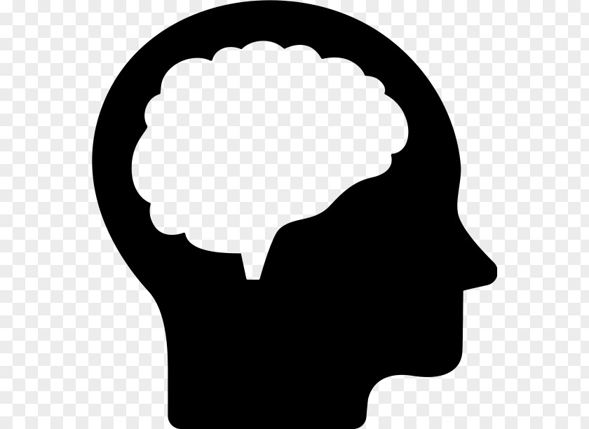 Brain Human Head PNG