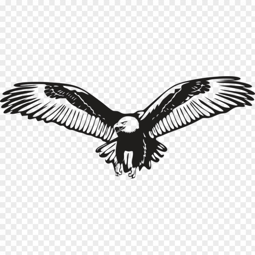 Eagle Bald Wall Decal Sticker PNG