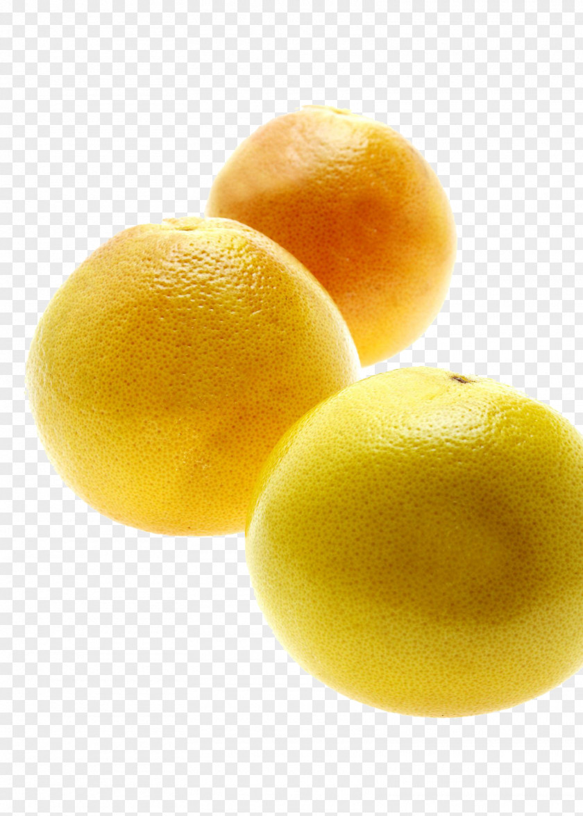 Orange Sweet Lemon Grapefruit Citron Citrus Junos PNG