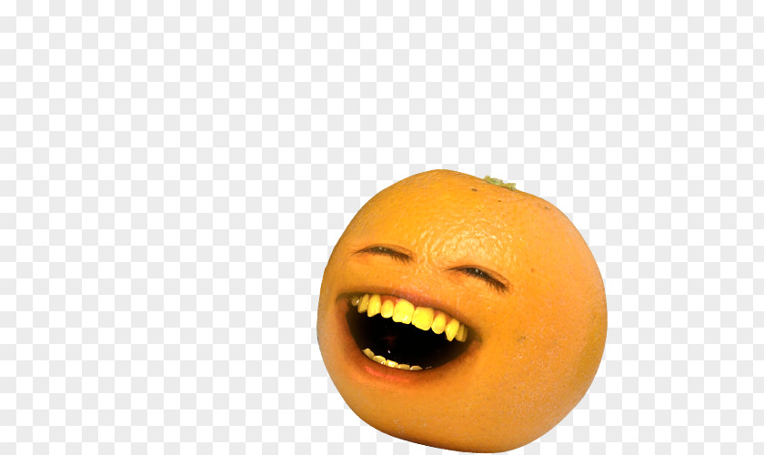 Oranges Orange YouTube Laughter Video PNG