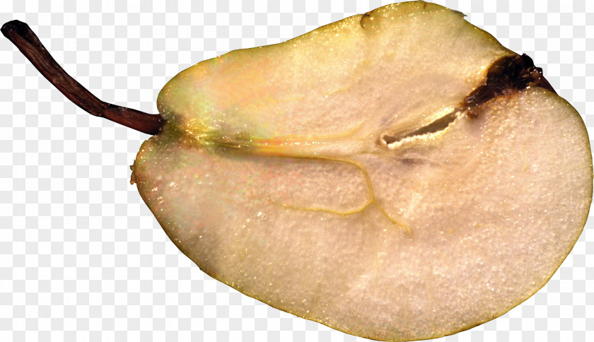 Pear Fruit Food PNG