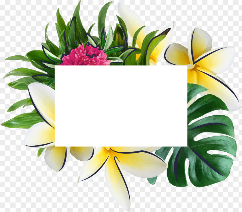 Vector Flowers Box Floral Design Picture Frame PNG
