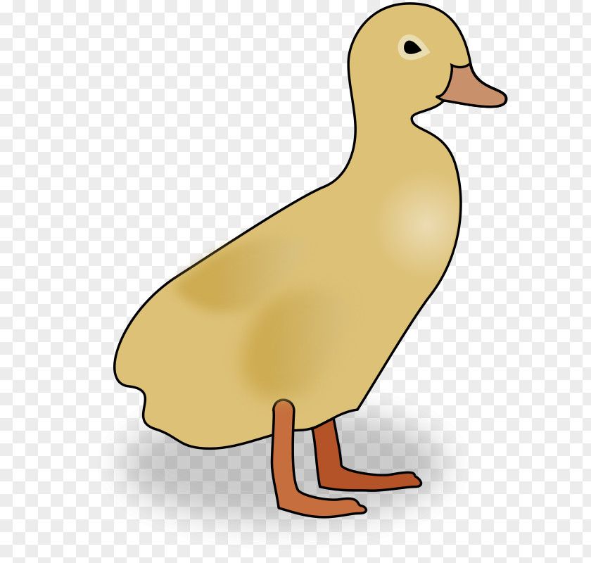 Baby Duckling Pictures Duck Clip Art PNG