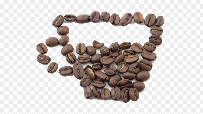 Beans Put Into A Coffee Cup Cafe Bean PNG