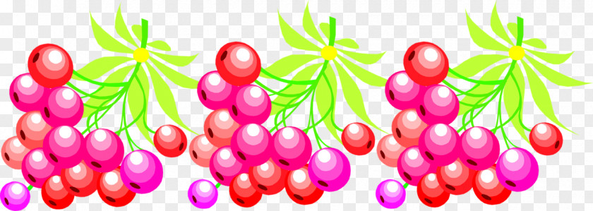 Blackcurrant Fruit Berry Redcurrant Food PNG