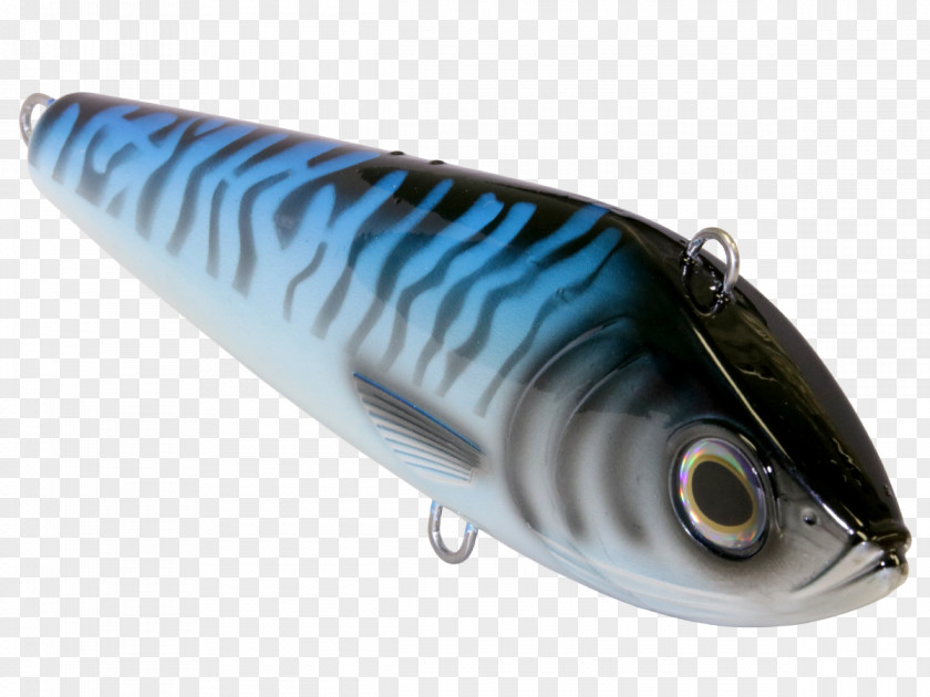 Low Angle Shot Spoon Lure Sardine Oily Fish Mackerel PNG