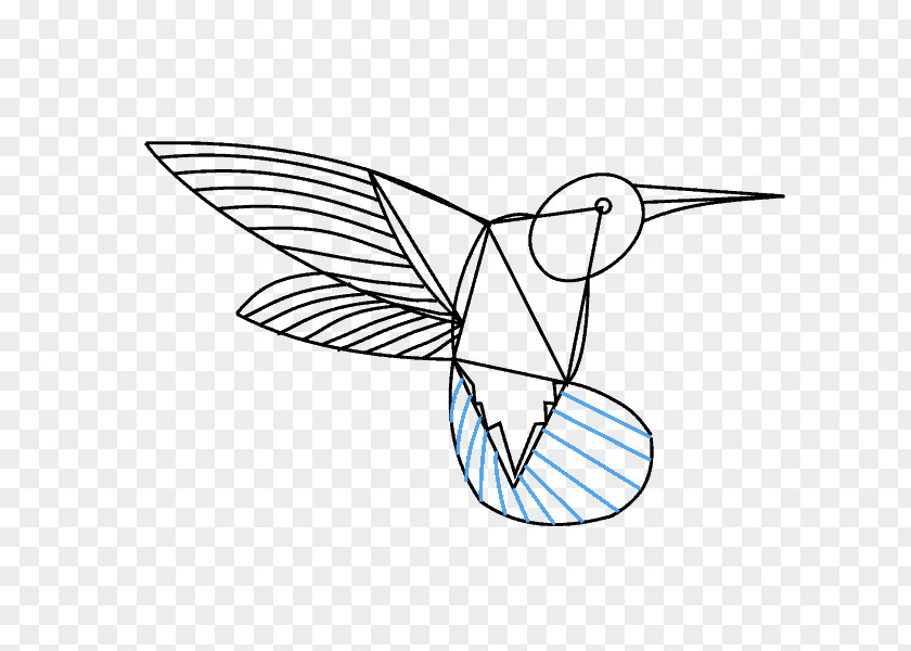 Painting Hummingbird Drawing Line Art Clip PNG