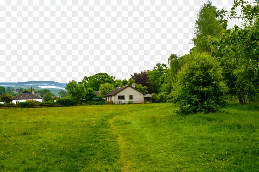 Suburb Green Grass Landscape Lawn PNG