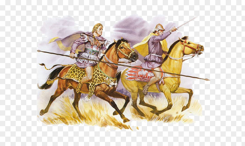 Alexander The Great Macedonian Phalanx Battle Of Gaugamela Companion Cavalry PNG