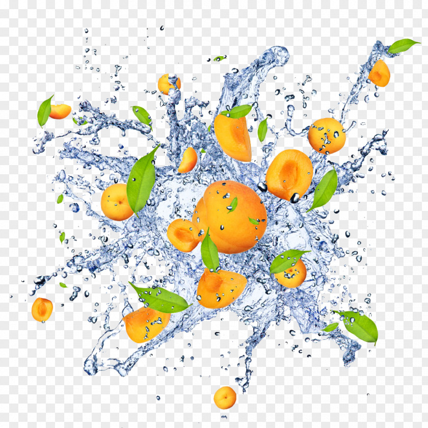 Buahan Map Stock Photography Image Orange Price Fruit PNG