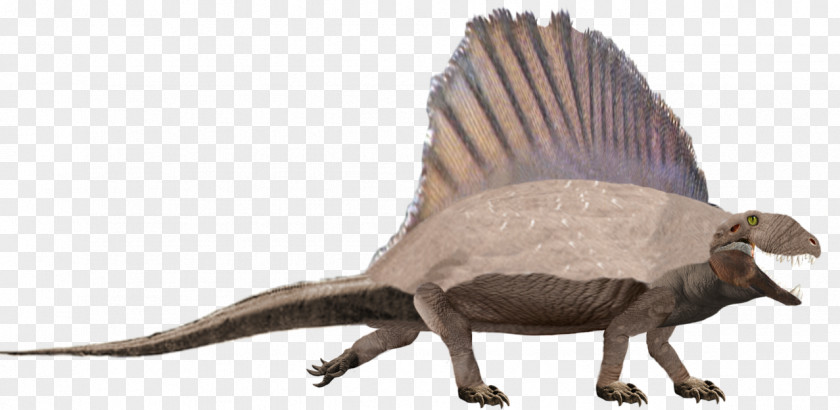 Dinosaur Dimetrodon Limbatus Neural Spine Sail Animal PNG