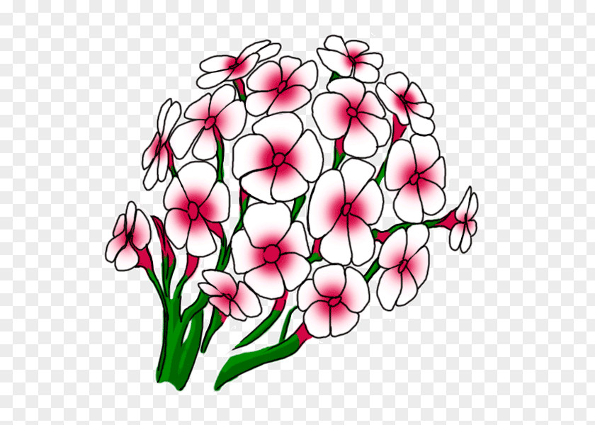 DRAW Flower Floral Design Cut Flowers Bouquet PNG