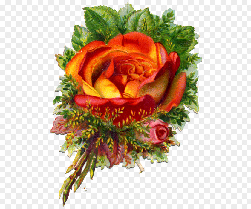 Flower Garden Roses Victorian Era Cut Flowers Bokmärke PNG