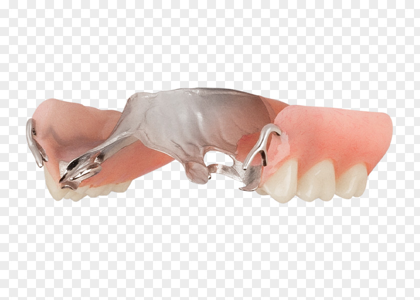Nail Thumb Snout Tooth PNG