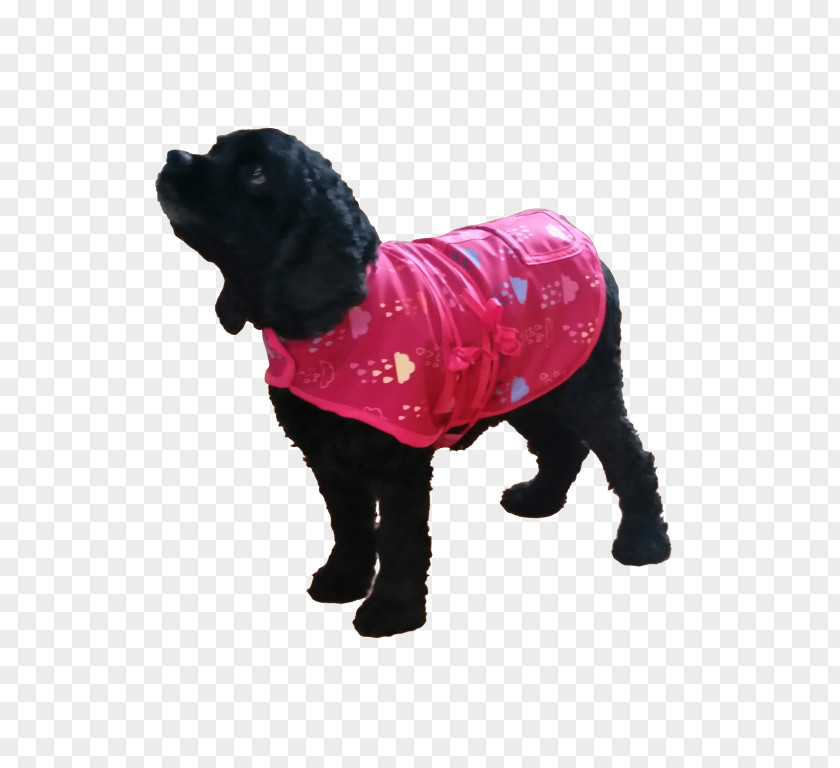 Puppy Dog Breed Coat Wool PNG