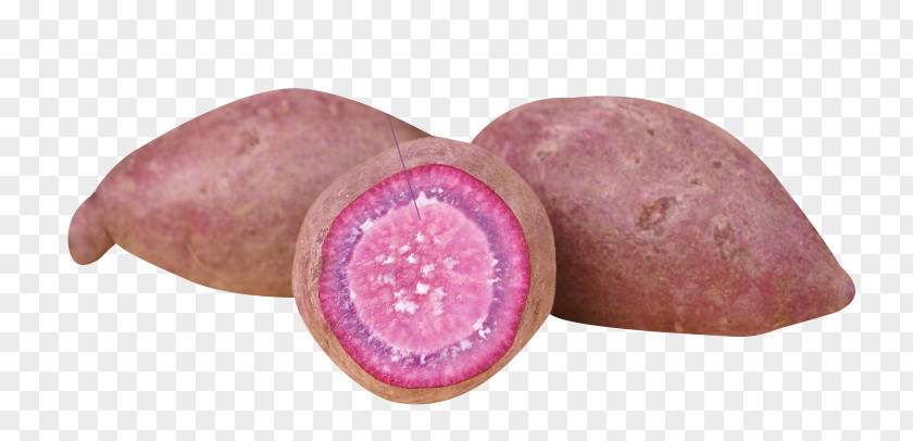 Specialty Vegetables Purple Potato Vitelotte Beetroot Vegetable PNG