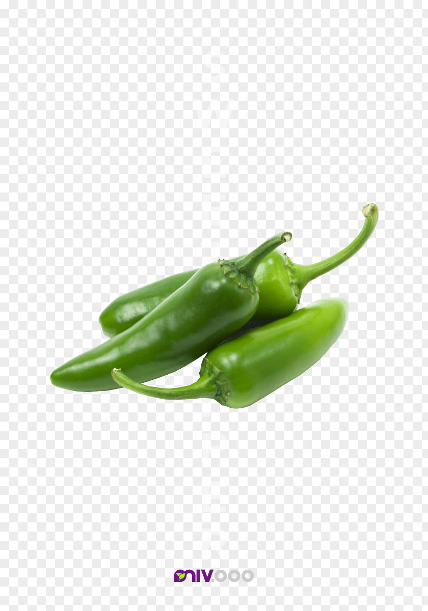 Sweet Peppers Chili Con Carne Stuffing Jalapeño Bell Pepper PNG