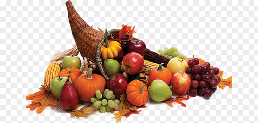 Thanksgiving Cornucopia Let's Celebrate Day Stock Photography Clip Art PNG