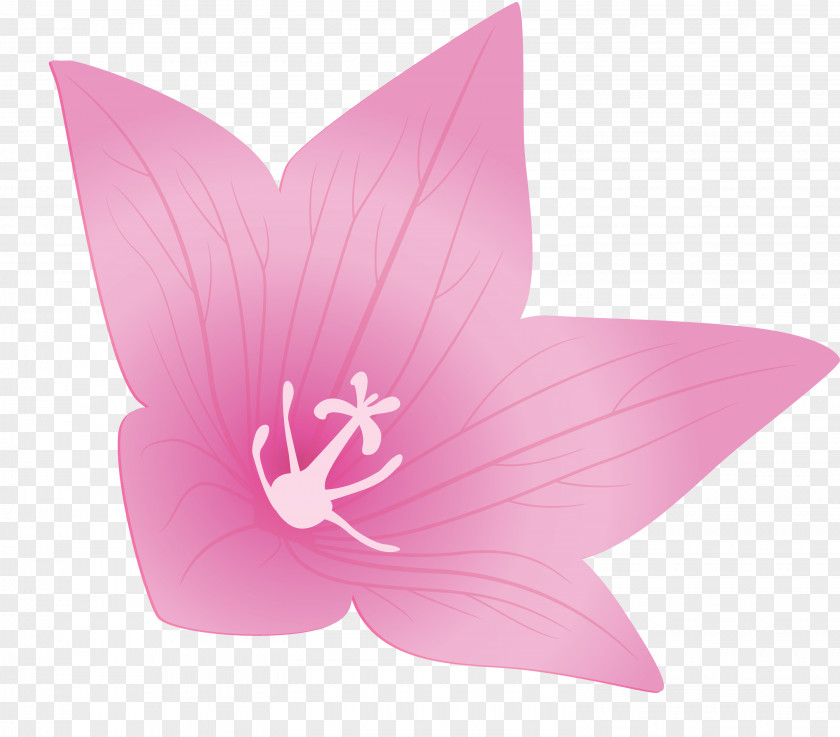 Balloon Flower PNG