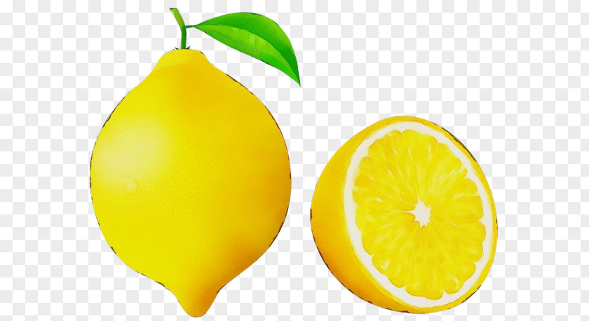 Clip Art Lemon Sour Juice Free Content PNG