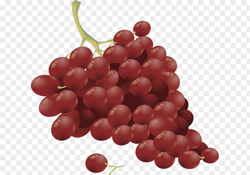 Grape Wine Fruit Salad Common Vine PNG