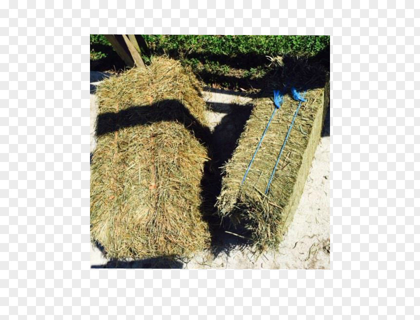 Hay Bale Straw Baler Hampton Roads Grasses PNG