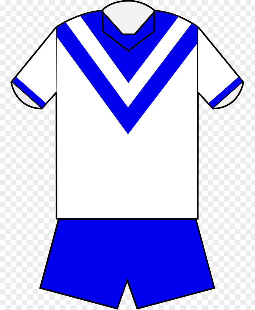 JERSEY Canterbury-Bankstown Bulldogs National Rugby League South Sydney Rabbitohs Jersey Canberra Raiders PNG