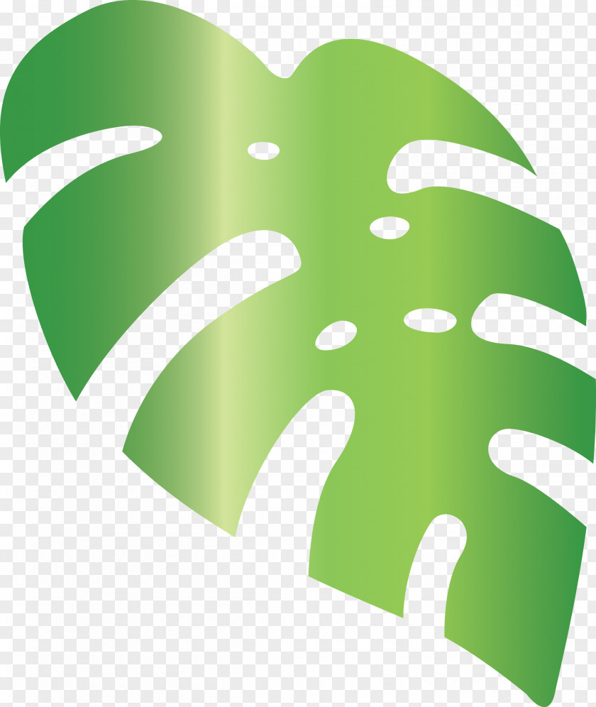 Monstera Tropical Leaf PNG