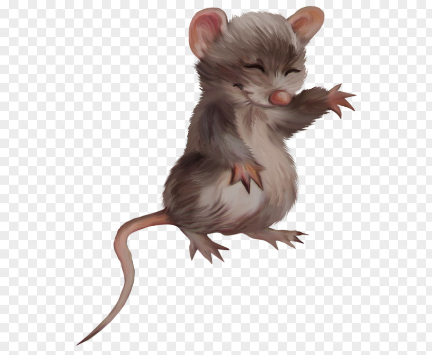 Mouse Computer Rat Rodent PNG