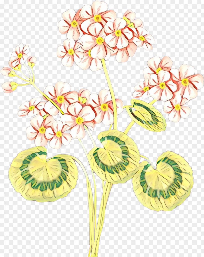 Perennial Plant Pedicel Flower Stem Cut Flowers Anthurium PNG