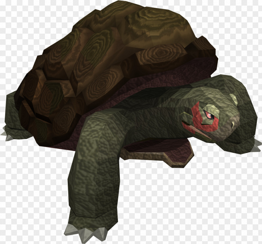 Tortoide RuneScape Turtle Reptile Desert Tortoise PNG