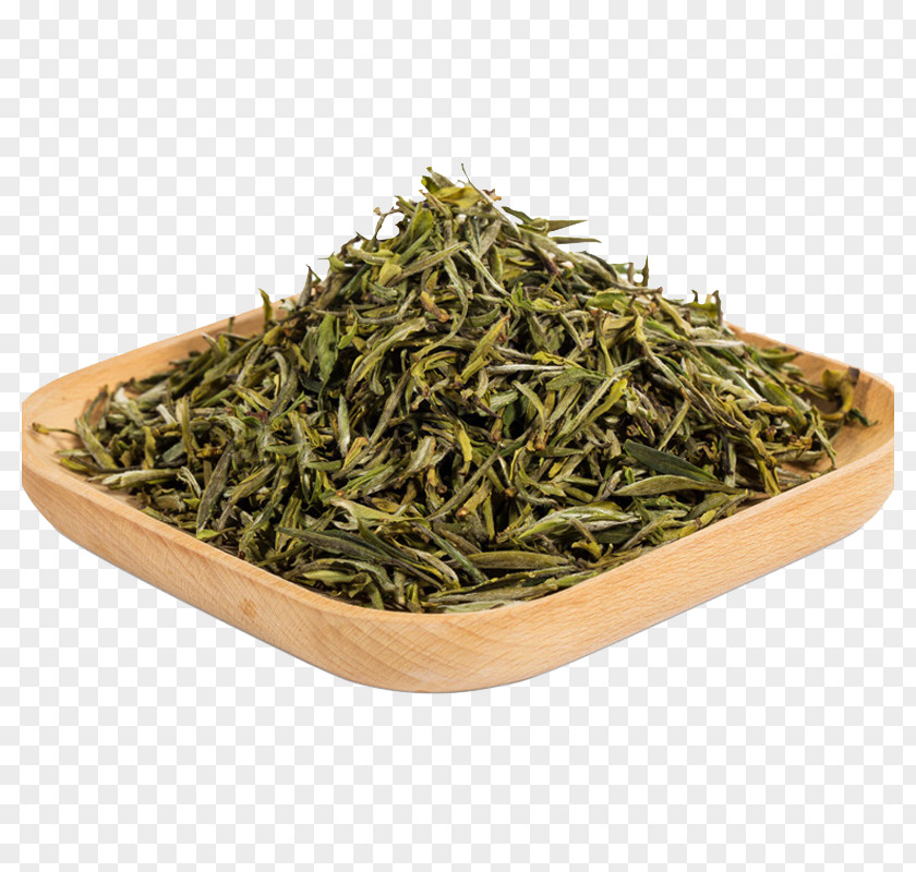 A Green Tea Leaves Hu014djicha Nilgiri Gyokuro PNG