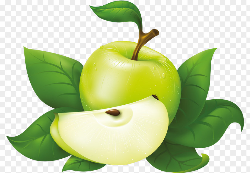 Apple Tree Transparent Vector Graphics Clip Art Fruit Juice Image PNG