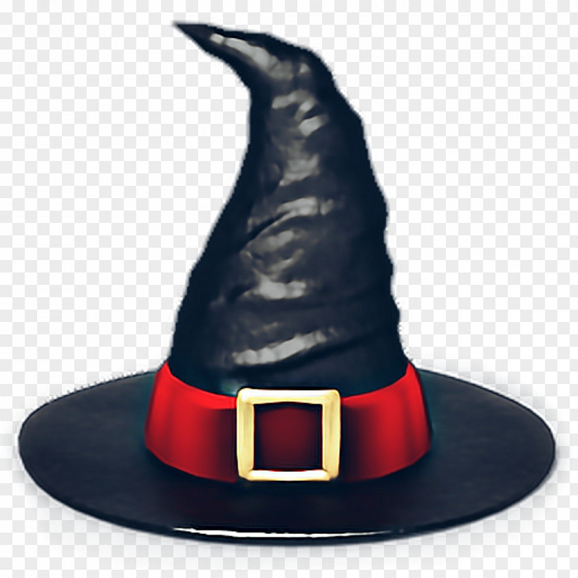 Bear Hat Witch Halloween PNG
